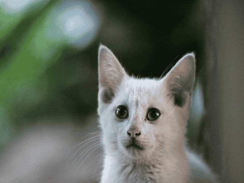 做试管不查hpv，化学具支试管
